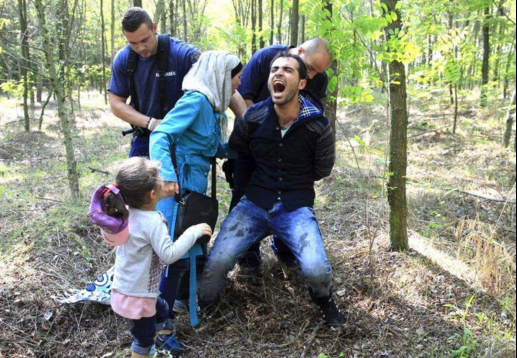 السويد| ترحيل 80 ألف لاجئ رُفضت طلباتهم دون ذكر الوجهة
